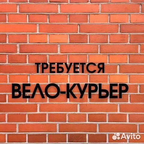 Велокурьер еженедельные выплаты (м-т)