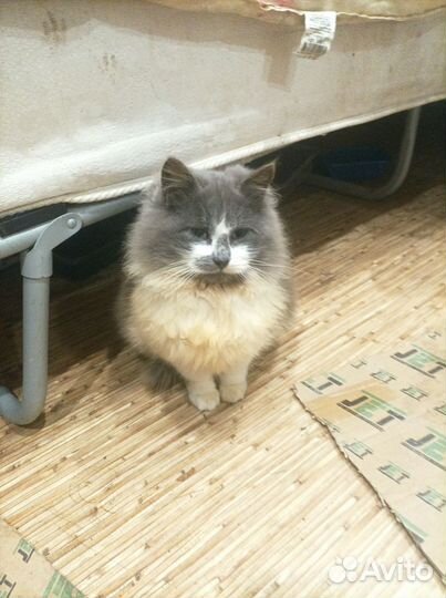 Помогите найти дом