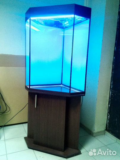Аквариум 200, новый угловой, свет, биофильтр тумба