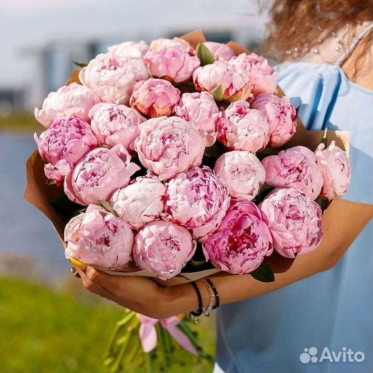 Пионы Цветы Доставка