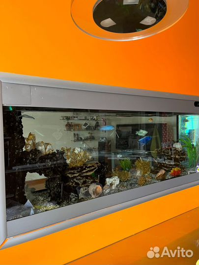 Аквариум