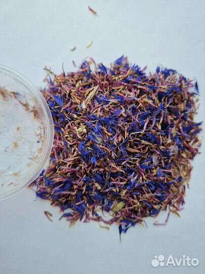 Травы сухоцветы и цветы для чая и декора