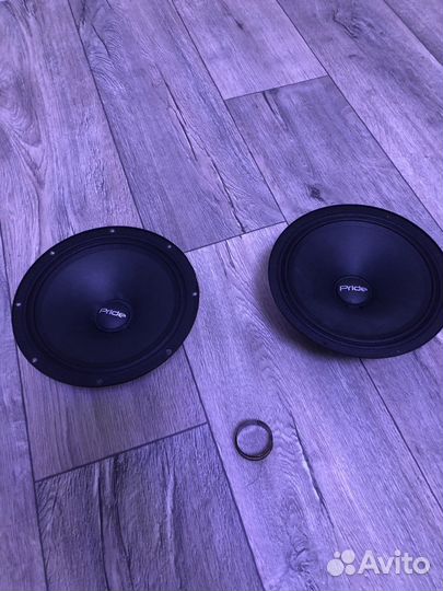 Pride ruby voice 8