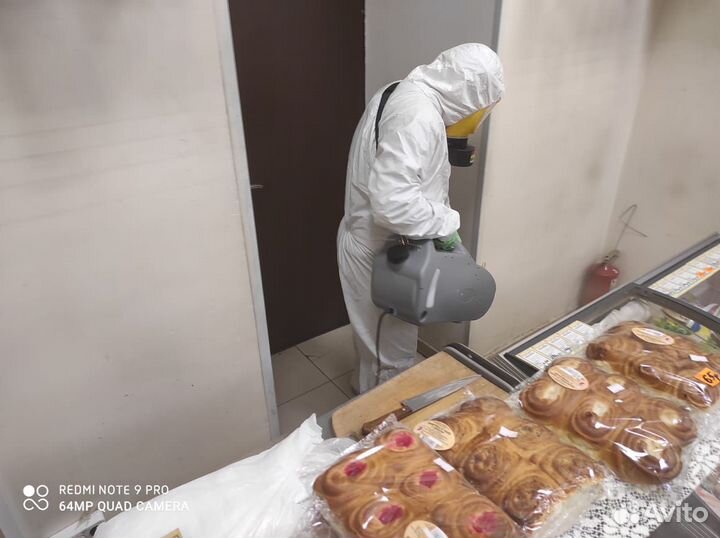 Уничтожение тараканов,клопов,плесени,шершней,крыс