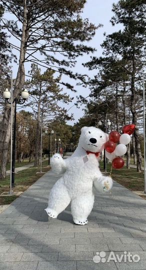 Ростовый белый мишка, Чебурашка, Панда