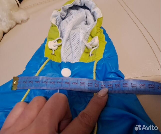 Одежда для собак