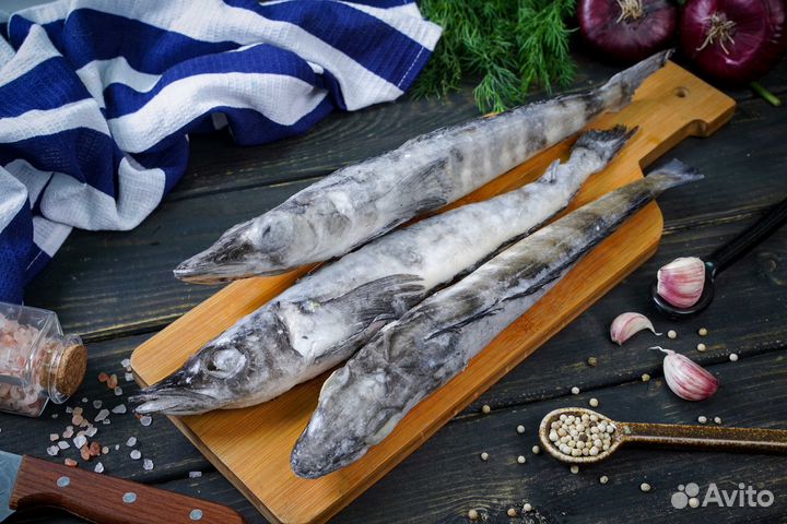 Ледяная рыба