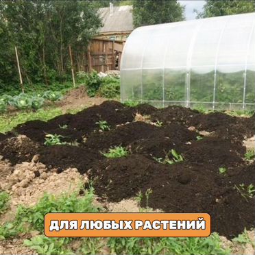 Перегной натуральный для любых растений
