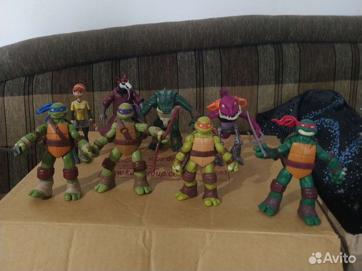 Черепашка-ниндзя