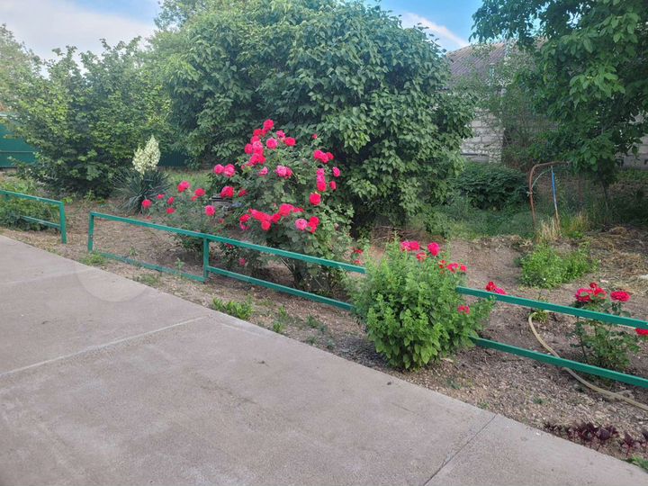 Дом 48 м² на участке 17 сот.