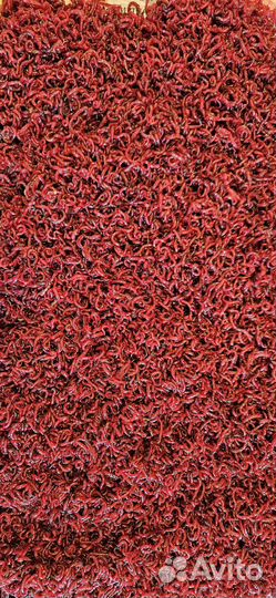 Мотыль насадочный,кормовой,трубочник изя,опарыш