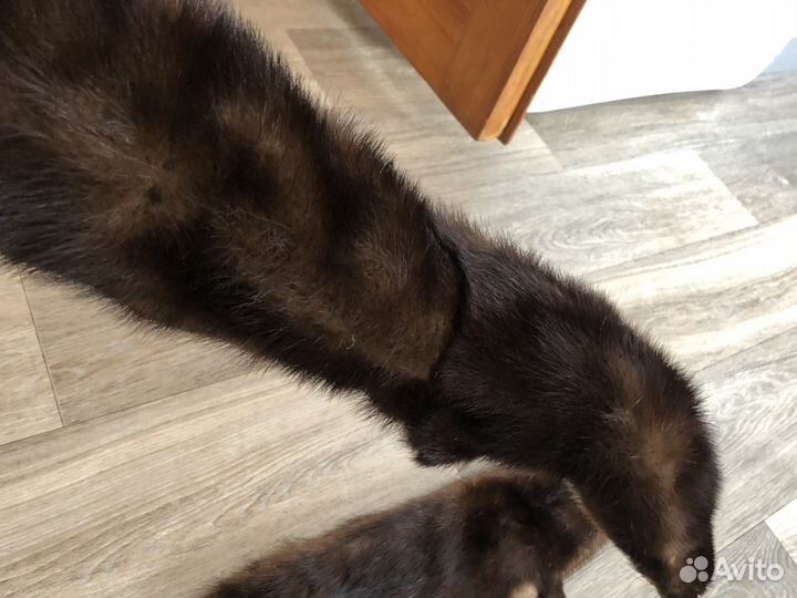 Шкурка животного