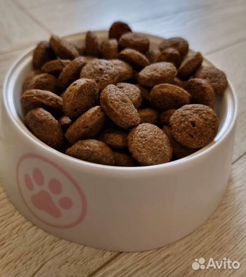 Сухой корм для собак и кошек на развес