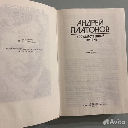 Государственный житель Андрей Платонов