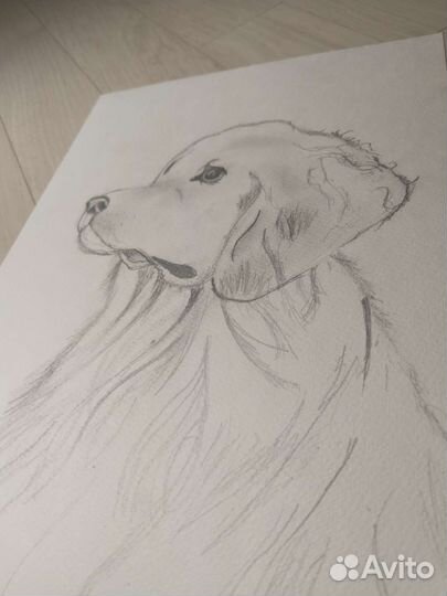 Рисунок собаки