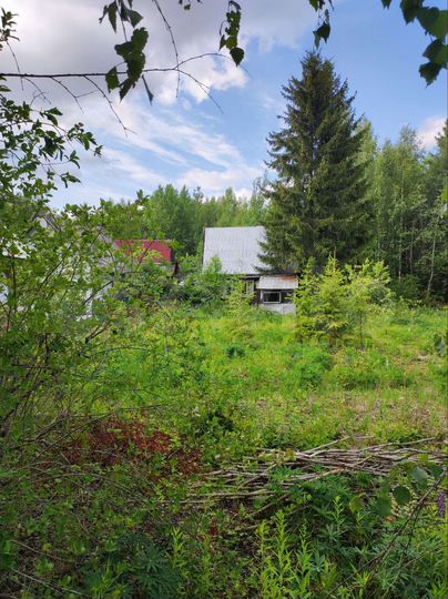 Участок 6,2 сот. (СНТ, ДНП)