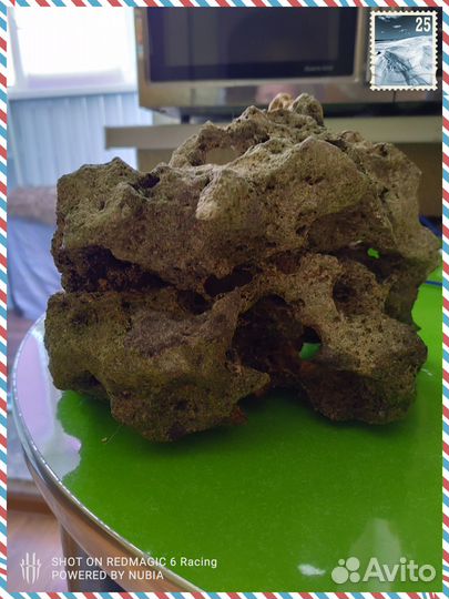 Аквариум, декрация