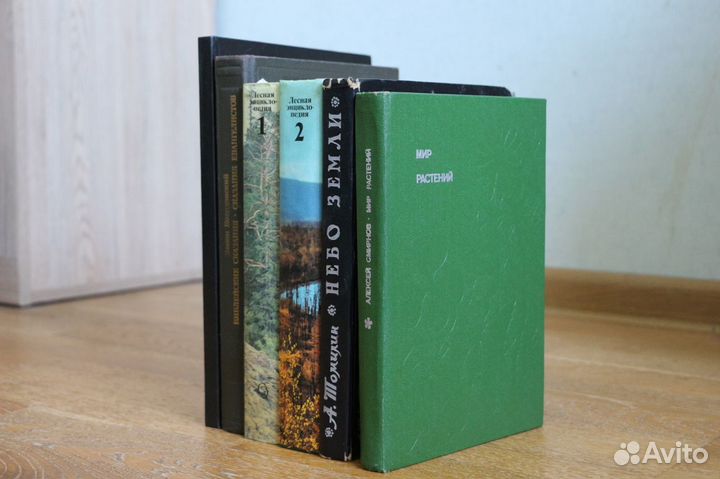 Косидовский - Библейские сказания