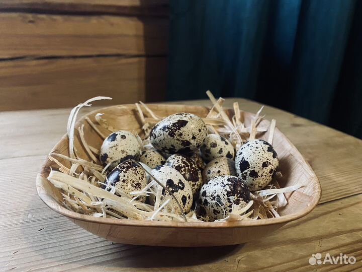 Яйца перепелиные домашние, мясо перепелов и гуся