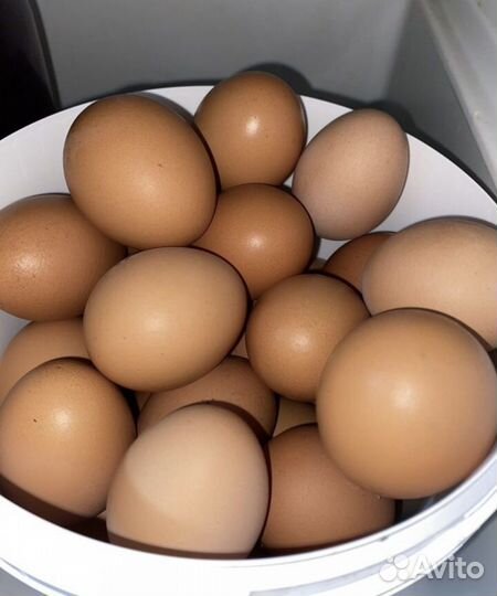 Домашние куриные яйца