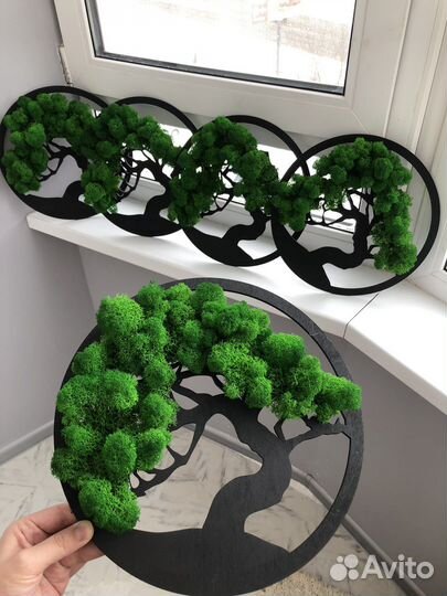 Панно со мхом дерево жизни Бонсай 30 см