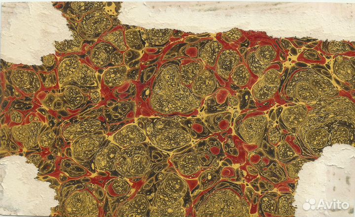 Старинные фотографии. Военные Российской Империи