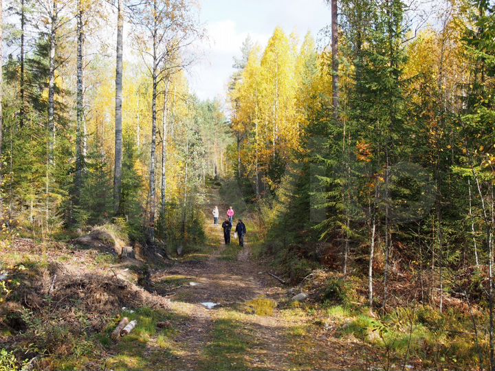 Участок 15 сот. (СНТ, ДНП)