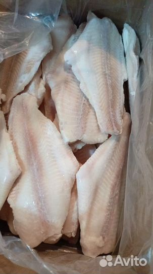 Филе пангасиуса б/ш 220+ 10 кг 2024