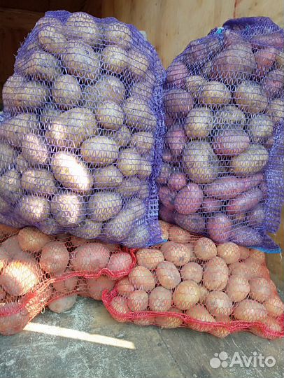 Продам картофель с доставкой