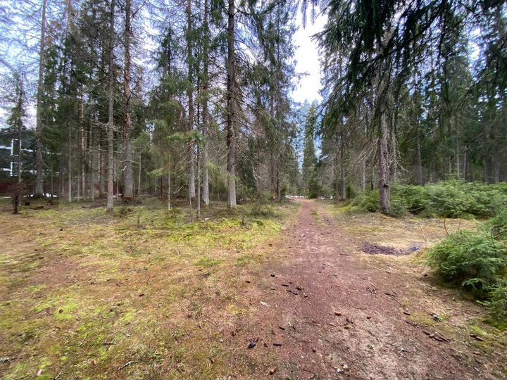 Участок 28 сот. (ИЖС)