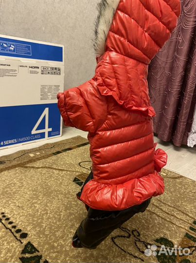 Куртка для маленькой собаки