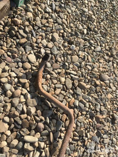 Toyota funcargo средняя часть глушителя