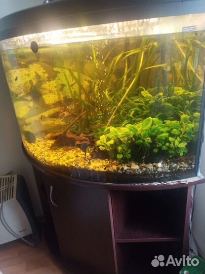 Аквариум 200 литров с тумбой