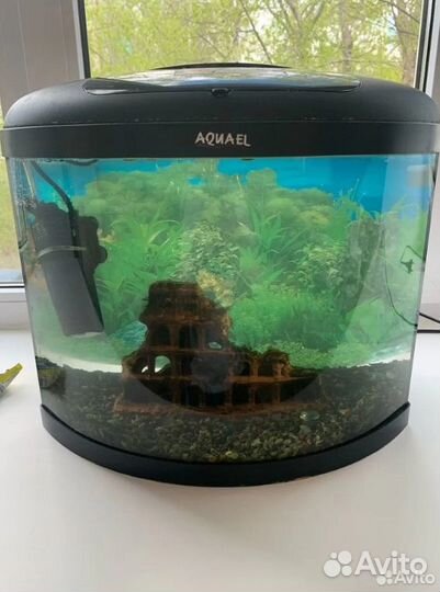 Аквариум со всеми принадлежностями