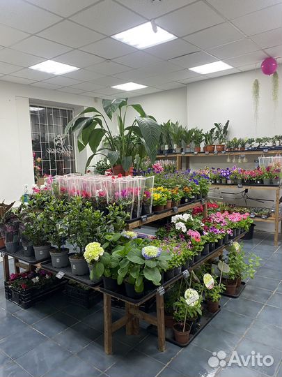 Продавец в цветочный магазин