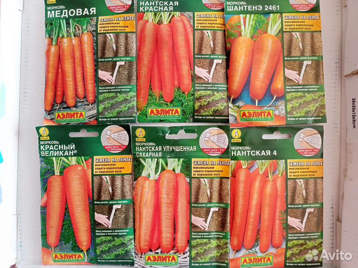 Семена моркови
