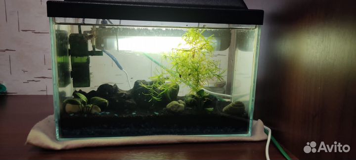 Аквариум для рыбок бу