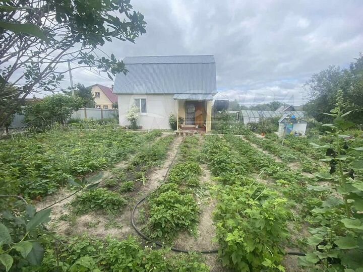 Дача 50 м² на участке 7,8 сот.