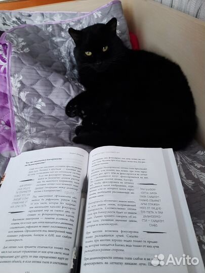 Репетитор по анатомии/фармакологии/гистологии