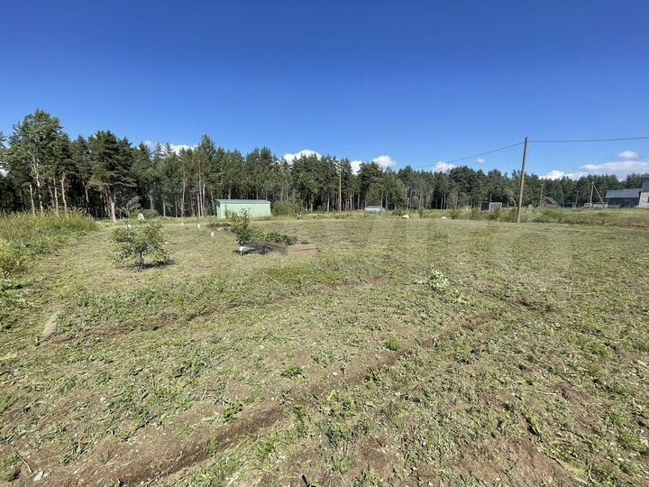 Участок 10,7 сот. (СНТ, ДНП)