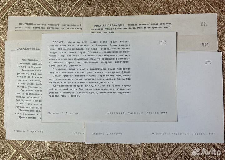 Набор открыток Птицы 1968 год. СССР