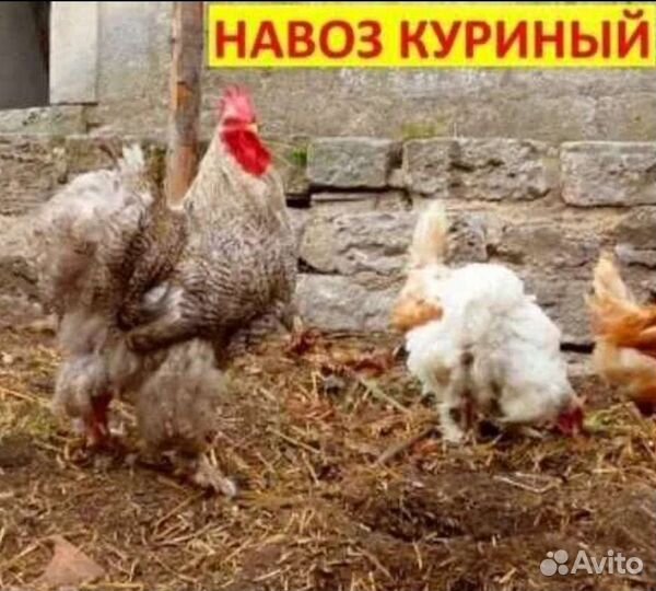 Навоз, перегной куриный, конский, коровий в мешках