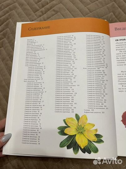 Большая энциклопедия