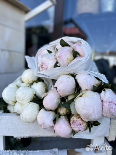 Букет из пионов