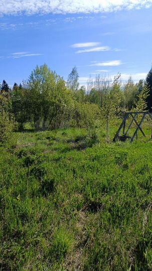 Участок 12,7 сот. (СНТ, ДНП)