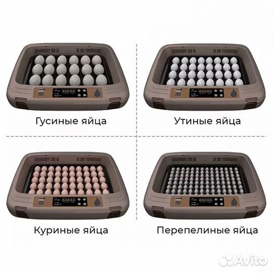 Инкубатор для яиц HHD 50 автоматический