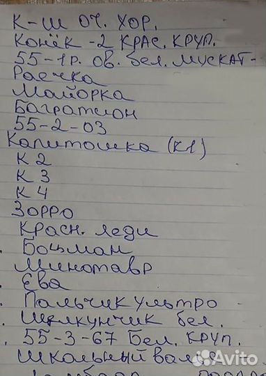 Черенки винограда