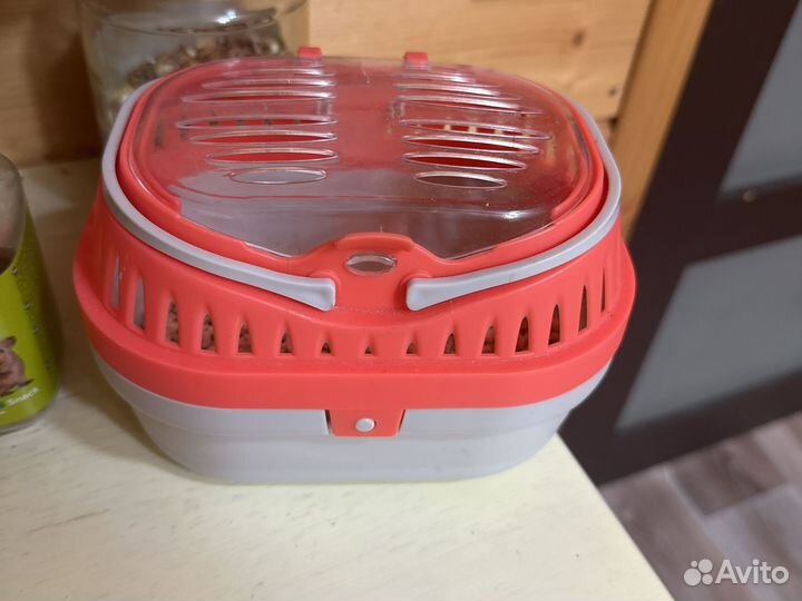 Декорактивная крыса