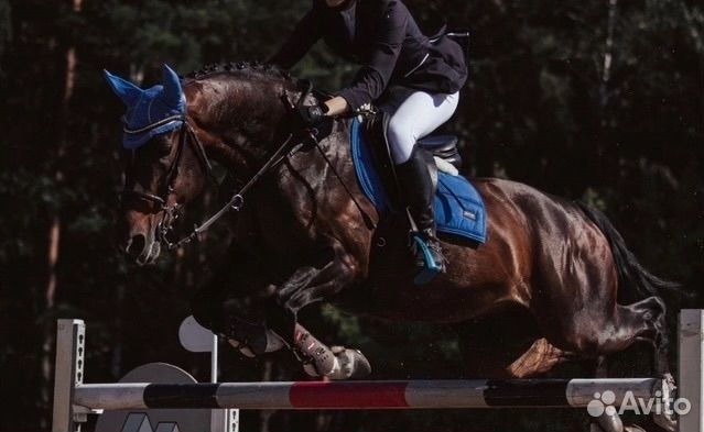 Вальтрап конкурный