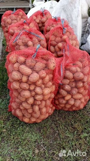 Продам картофель с доставкой